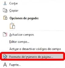 formato de n&uacute;mero de p&aacute;gina