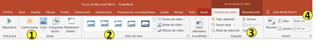 pesta&ntilde;a de formato de video de PowerPoint