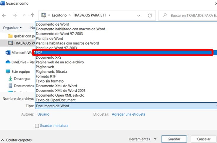 Tipo de formato PDF