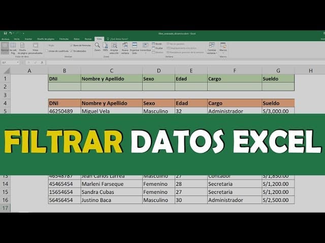 filtrar datos Excel 2023